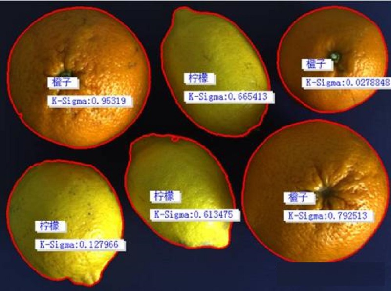 機(jī)器視覺-水果分揀檢測系統(tǒng)插圖