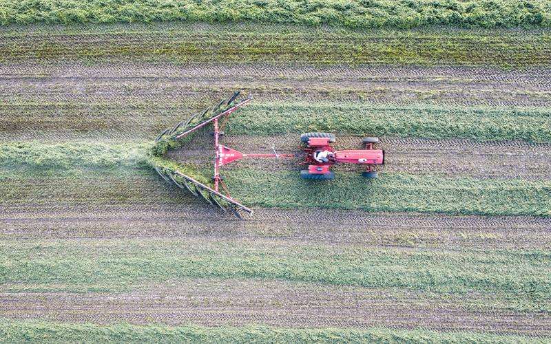瑕疵檢測(cè)系統(tǒng)如何提升供應(yīng)鏈的透明度 瑕疵檢測(cè)系統(tǒng)如何提升供應(yīng)鏈的透明度