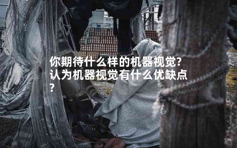 你期待什么樣的機(jī)器視覺?認(rèn)為機(jī)器視覺有什么優(yōu)缺點(diǎn)?