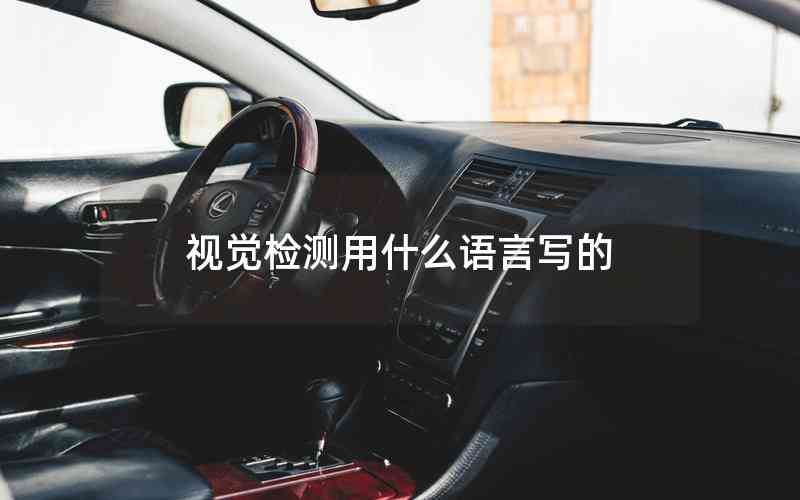 視覺檢測用什么語言寫的