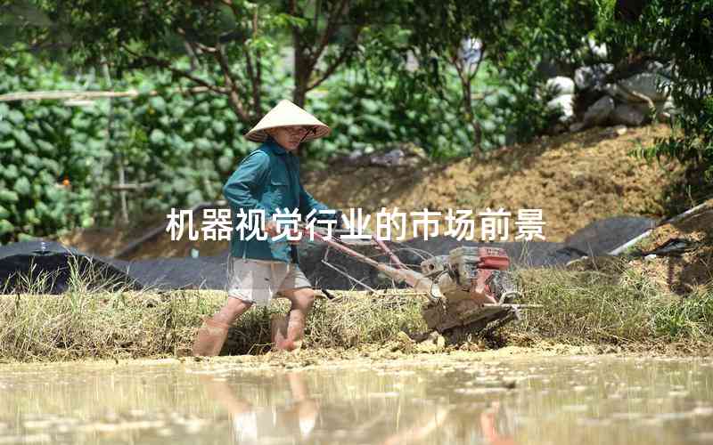 機(jī)器視覺行業(yè)的市場前景