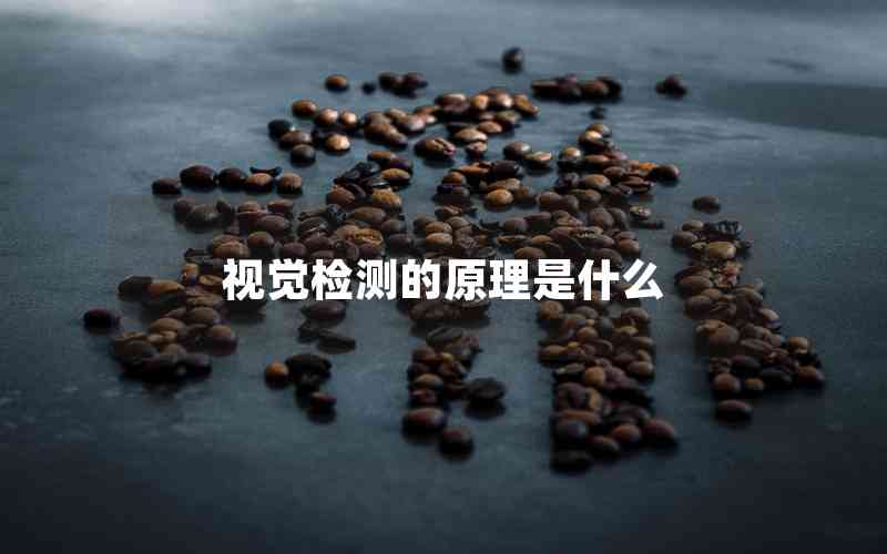 視覺(jué)檢測(cè)的原理是什么