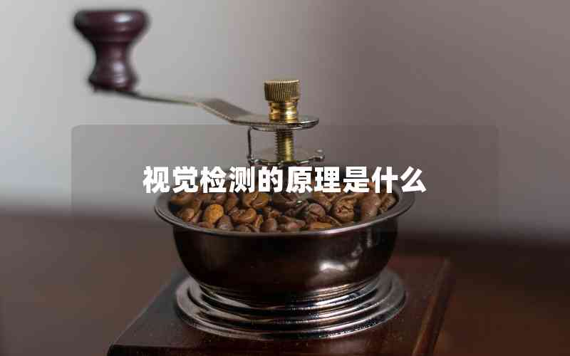 視覺檢測(cè)的原理是什么