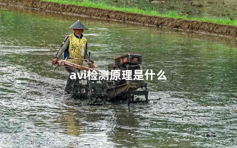 avi檢測原理是什么