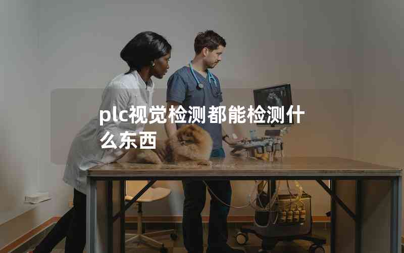 plc視覺檢測(cè)都能檢測(cè)什么東西