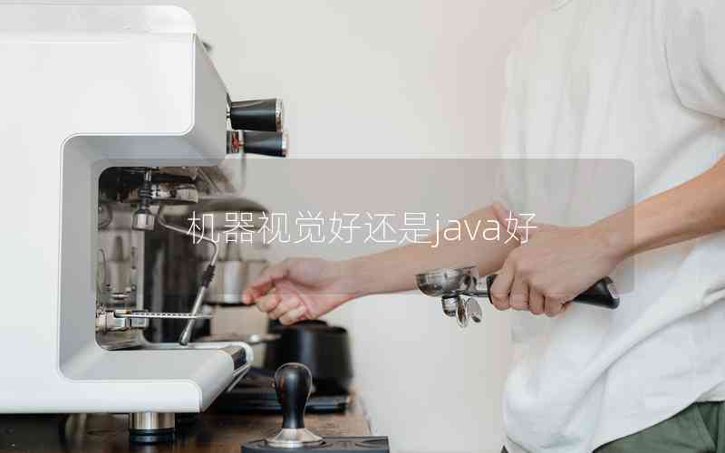 機(jī)器視覺(jué)好還是java好