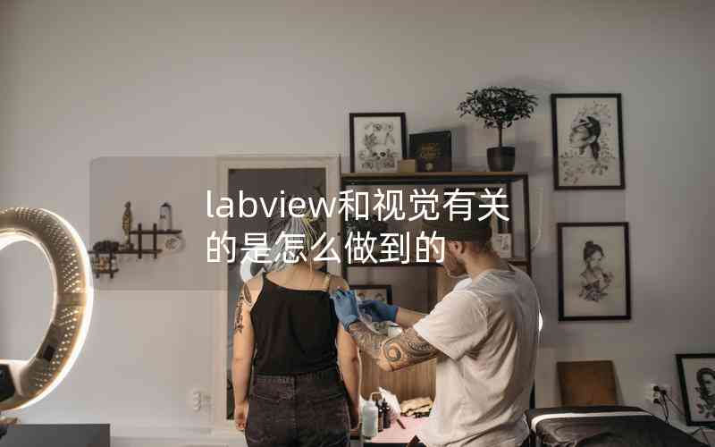 labview和視覺有關(guān)的是怎么做到的