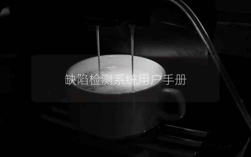 缺陷檢測系統(tǒng)用戶手冊