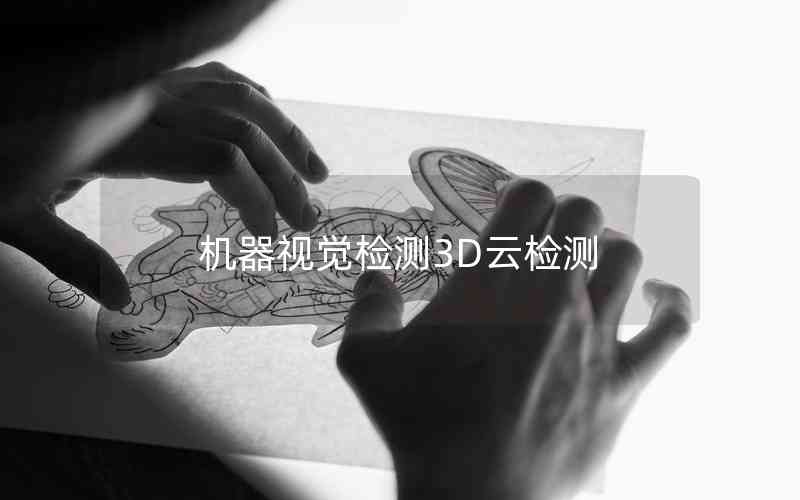 機器視覺檢測3D云檢測