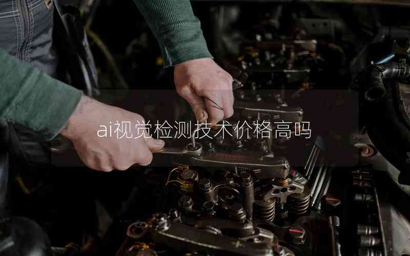 ai視覺檢測技術(shù)價格高嗎