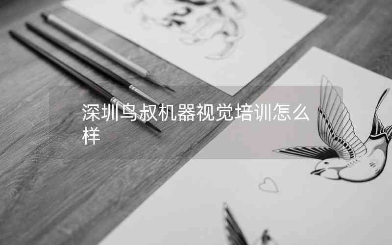 深圳鳥叔機器視覺培訓怎么樣